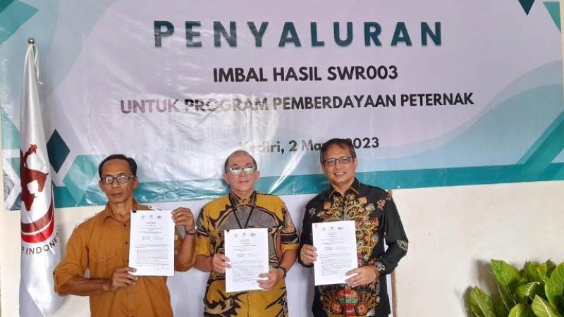 Penyaluran program